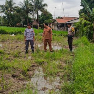 Bhabinkamtibmas Kuripan Utara Dorong Pemanfaatan Lahan untuk Ketahanan Pangan