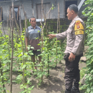 Guna Mendukung Ketahanan Pangan, Bhabinkamtibmas Ikut Bantu Serta Motivasi Warga Buat Kebun Sayur di Rhee