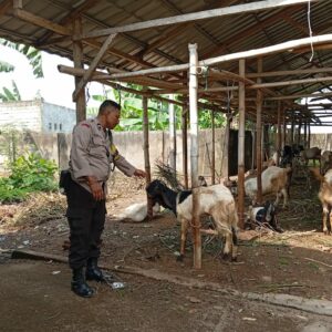 Polsek Labuapi Dorong Ketahanan Pangan Desa di Lombok Barat