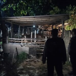Polsek Sekotong Tingkatkan Patroli Cegah Pencurian Ternak di Lombok Barat