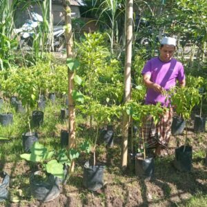 Polsek Batulayar Dukung Ketahanan Pangan Lewat Sosialisasi Langsung ke Warga