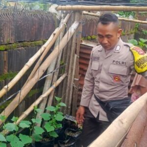 Bhabinkamtibmas Lombok Barat Dorong Ketahanan Pangan Lewat Lahan Kosong