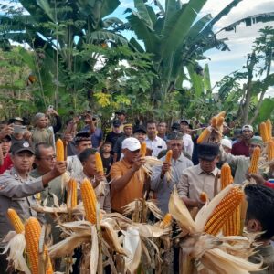 Bhabinkamtibmas Kelurahan Lelamase Hadiri Panen Raya Jagung Hibrida di Kota Bima