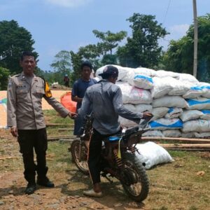 Dukung Ketahanan Pangan, Bhabinkamtibmas Kelurahan Nitu Lakukan Pengecekan Hasil Panen Jagung Petani
