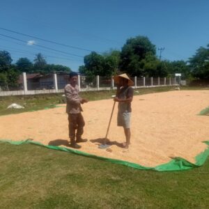 Bhabinkamtibmas Rasabou Pantau Persiapan Panen Jagung Warga di So Kuta 1