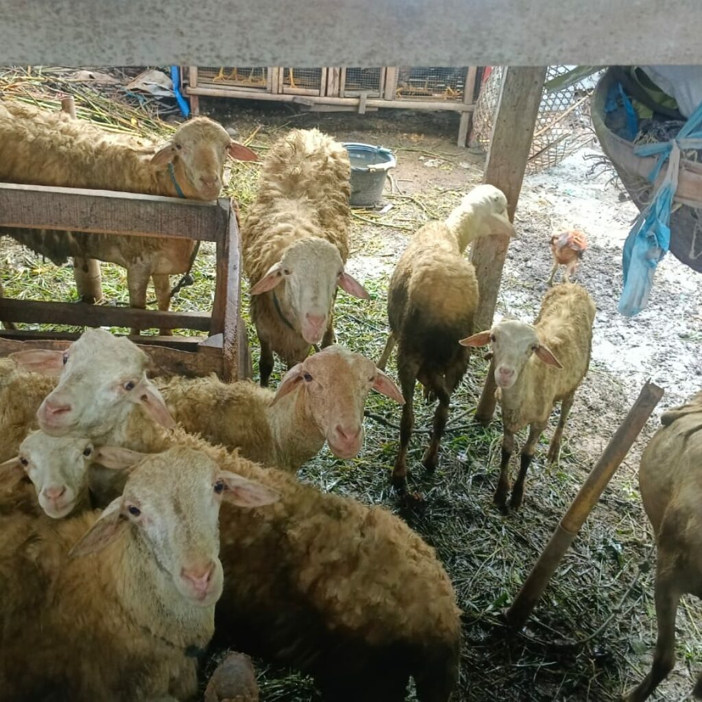 Polri Aktif di Tengah Masyarakat: Kunjungan DDS Dukung Ketahanan Pangan Warga