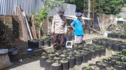Meningkatkan Kemandirian Pangan: Bhabinkamtibmas Kuripan Utara Gelar Sosialisasi