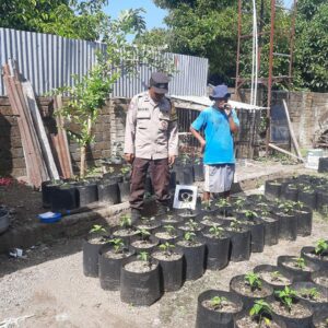 Upaya Bhabinkamtibmas Desa Kuripan Utara Tingkatkan Kemandirian Pangan Warga