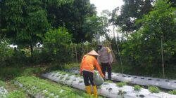 Bhabinkamtibmas Desa Jagaraga Ajarkan Warga Pemanfaatan Lahan untuk Ketahanan Pangan