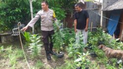 Polsek Kuripan Apresiasi Upaya Ketahanan Pangan Warga Jagaraga