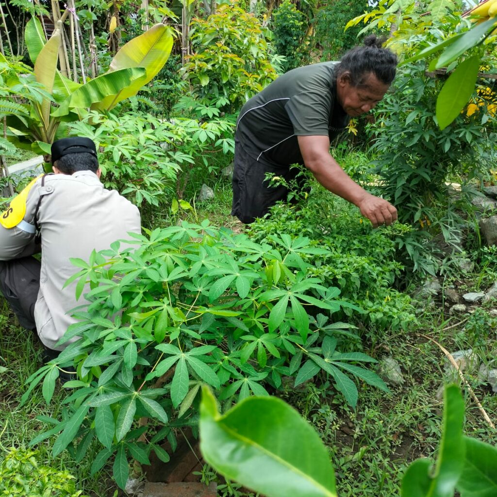 Polri dan Petani Bersatu Wujudkan Program Pangan Nasional di Lombok Barat