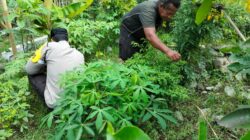 Polri dan Petani Bersatu Wujudkan Program Pangan Nasional di Lombok Barat