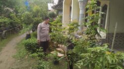 Dukung Pertanian Pekarangan, Polri Hadir Erat di Tengah Masyarakat di Sekotong