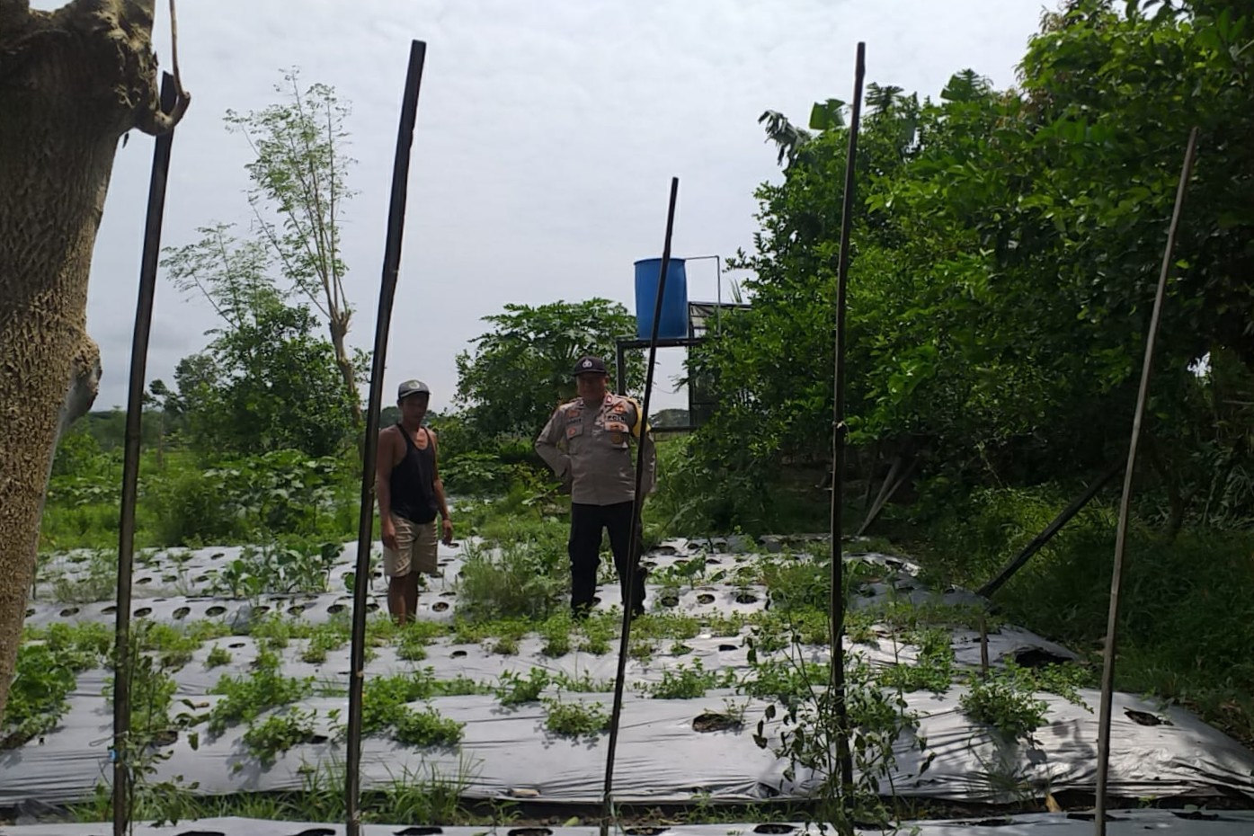Sambang Warga, Bhabinkamtibmas Gaungkan Ketahanan Pangan Desa