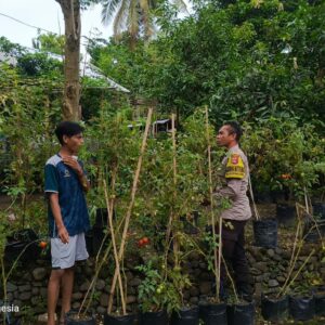 Pemuda Lombok Barat Didorong Manfaatkan Lahan Demi Ketahanan Pangan