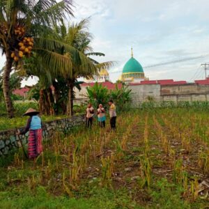 Pemanfaatan Lahan Kosong untuk Ketahanan Pangan di Lombok Barat