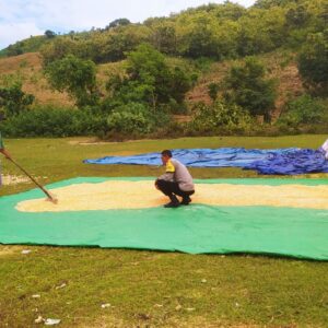 Bhabinkamtibmas Aktif Dukung Ketahanan Pangan di Sekotong