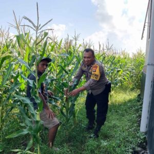 Peran Bhabinkamtibmas dalam Mendukung Ketahanan Pangan Nasional di Lombok Barat
