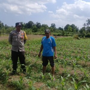 Polsek Gerung Dorong Ketahanan Pangan Lewat Silaturahmi dan DDS di Desa Beleka