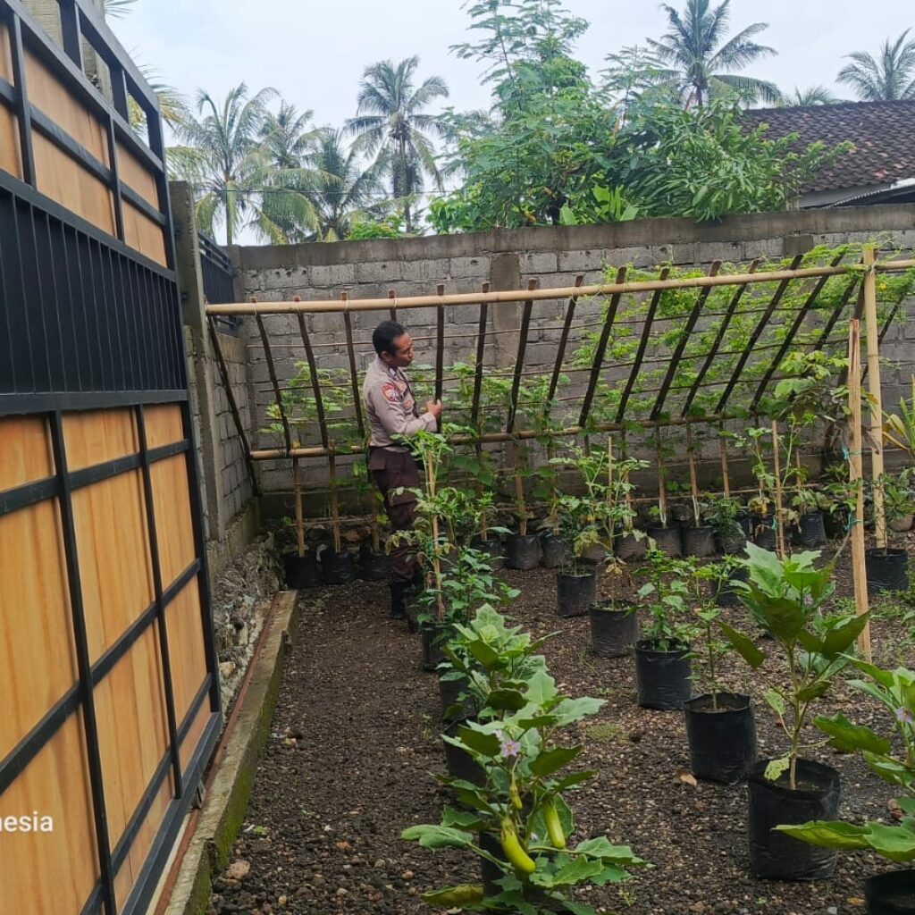 Bhabinkamtibmas Kuripan Sosialisasikan Pemanfaatan Lahan untuk Tanam Pangan