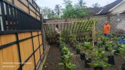 Bhabinkamtibmas Kuripan Sosialisasikan Pemanfaatan Lahan untuk Tanam Pangan
