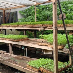 Polsek Labuapi Dukung Ketahanan Pangan Lewat Sambang Desa