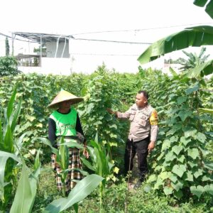 Polsek Labuapi Dorong Kemandirian Pangan Lewat Pemanfaatan Pekarangan