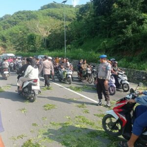 Polsek Lembar Amankan Pemangkasan Pohon Demi Kelancaran Lalu Lintas