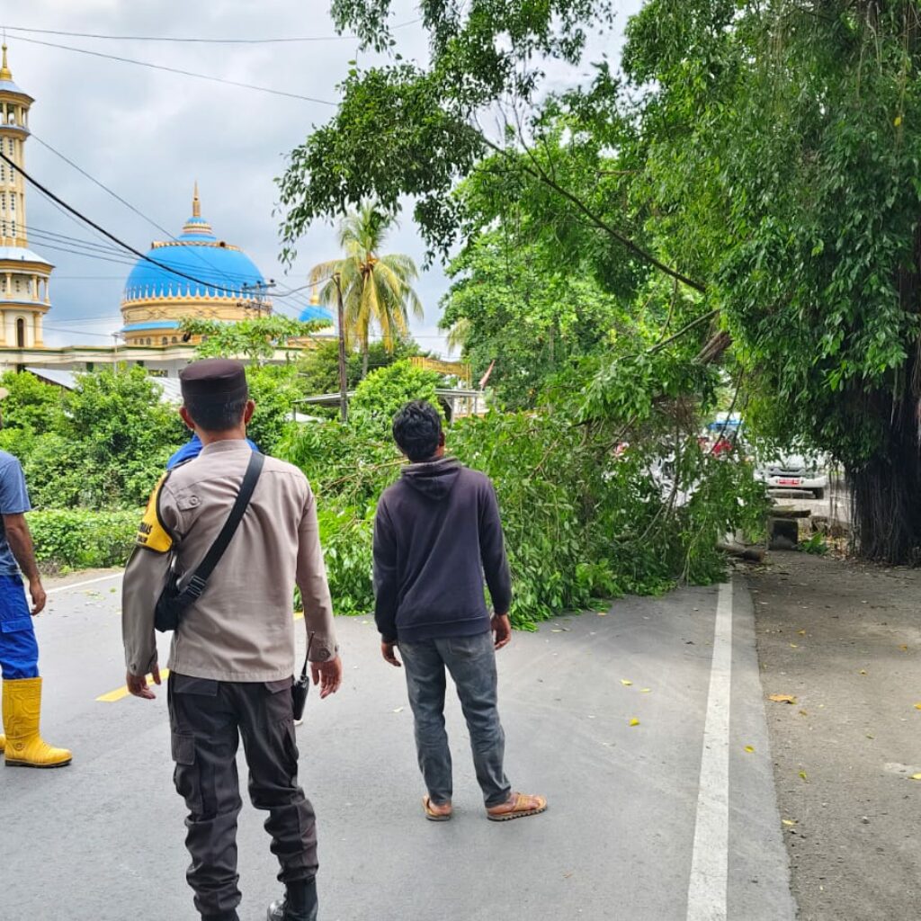 Sinergi Polsek dan Dinas LH Lombok Barat Dalam Penertiban Pohon Berbahaya