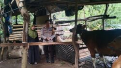 Polsek Batulayar Dorong Ketahanan Pangan Lewat Lahan Pekarangan