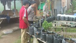 Kolaborasi Polri dan Pertanian dalam Program Pekarangan Bergizi untuk Ketahanan Pangan