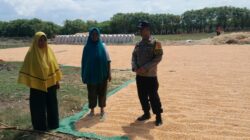 Dorong Ketahanan Pangan, Bhabinkamtibmas Pantau Penjemuran Jagung Warga Desa Daha