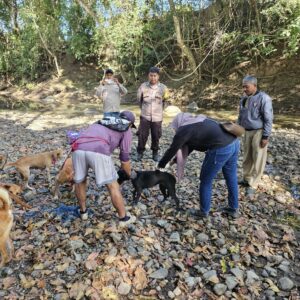 Bhabinkamtibmas Desa Sekongkang Atas Dampingi Petugas Poskeswan lakukan Vaksinasi Rabies