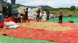 Bhabinkamtibmas Desa Hu’u Pantau Penggilingan Jagung Warga, Ingatkan Pentingnya Kualitas Panen