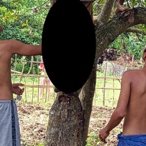 Pria di Sekotong Ditemukan Tewas Gantung Diri di Pohon Jambu Mete