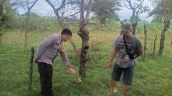 Hendak Menjaring Ikan, Seorang Pria Ditemukan Tewas Dengan Posisi Terlentang di Plampang