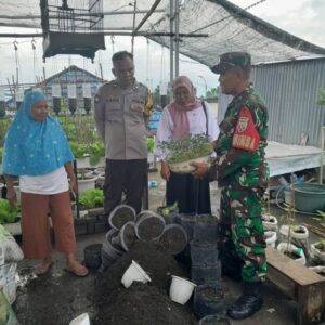 Perkuat Peran Perempuan, Kasi Sosial, Babinsa dan Bhabinkamtibmas Tinjau KWT Cendrawasih
