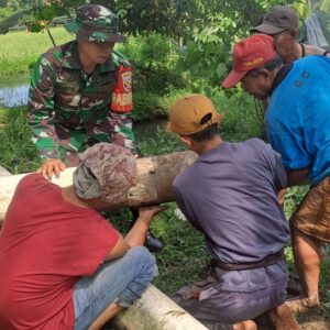 Sinergi Babinsa dan Petani, Irigasi Sepanjang 88 Meter Dibangun