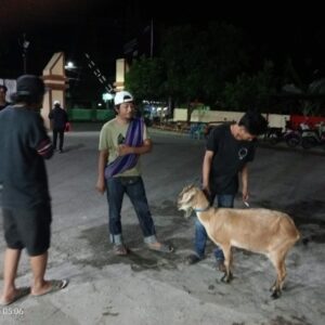 Team Opsnal Reskrim Polsek Rasanae Barat Amankan Dua Pelaku Pencurian Kambing saat Mobailing