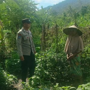 Polres Lombok Barat Dukung Ketahanan Pangan Lewat Pendampingan Petani