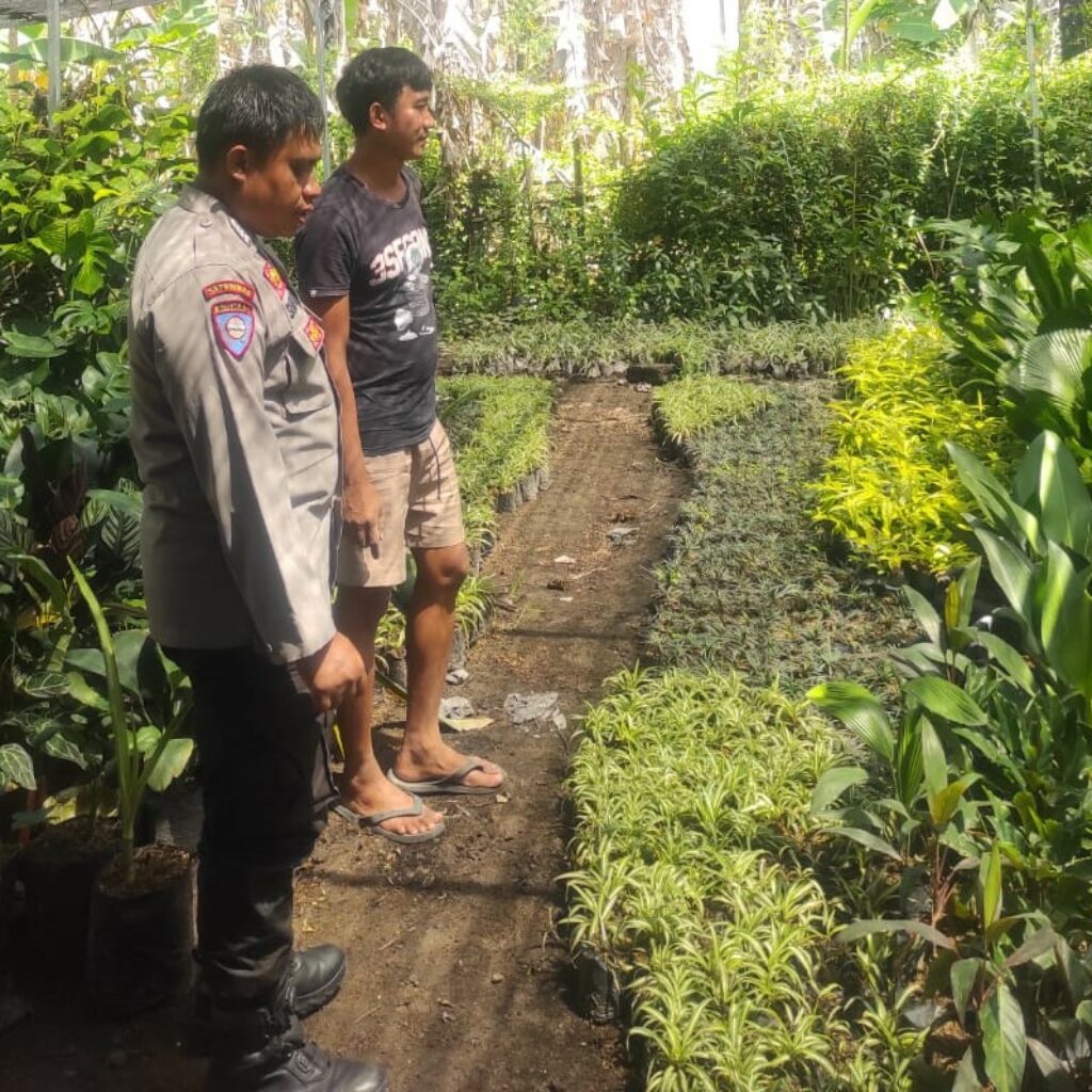 Banyumulek Barat Dorong Kemandirian Pangan Lewat Pekarangan Rumah