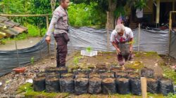 Dari Kuripan untuk Indonesia Gerakan Kemandirian Pangan Polri