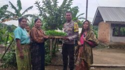 Bhabinkamtibmas Mareje Distribusikan Bibit Cabai untuk Ketahanan Pangan