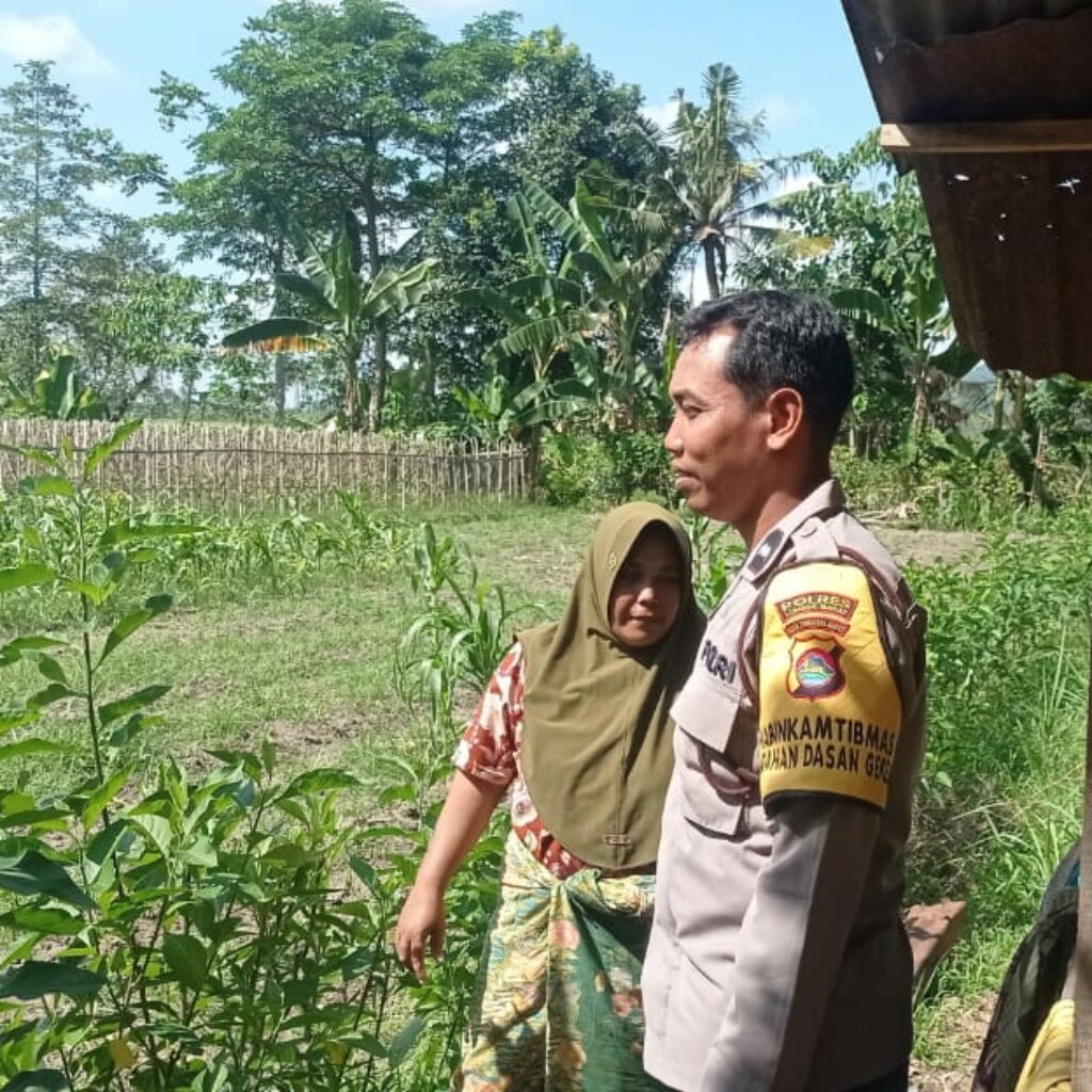 Gerakan Pekarangan Bergizi Mulai Diterapkan di Dasan Geres