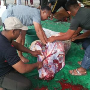 Kodim 1606/Mataram Tebar Berkah Idul Adha, Wujudkan Semangat TNI untuk Rakyat