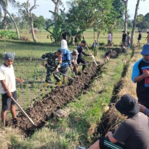 Sinergi Babinsa dan Warga Bangun Akses Tani Baru