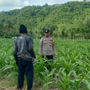 Bhabinkamtibmas Sekotong Dorong Pemanfaatan Lahan untuk Ketahanan Pangan
