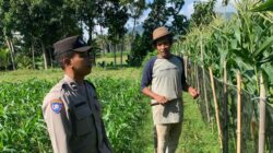 Polres Lombok Barat Dampingi Petani Wujudkan Ketahanan Pangan
