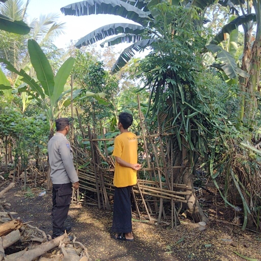 Pekarangan Bergizi Jadi Solusi Ketahanan Pangan di Desa Montong Are