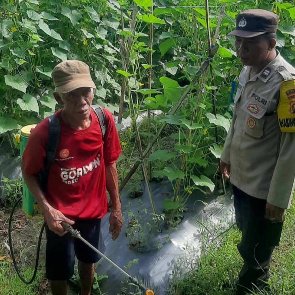 Peran Polri di Montong Are dalam Ketahanan Pangan Nasional